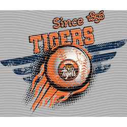 rugby team-NF 6054